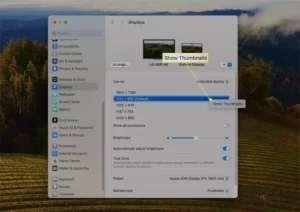 نمایش ریز عکسها برای وضوح های برجسته شده از تنظیمات نمایشگر در macOS.