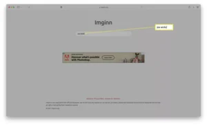 سایت Imginn با نوار جستجو برجسته شده است.