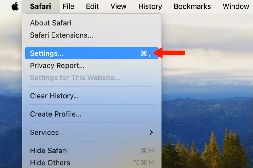 تصویر صفحه منوی Safari با یک فلش در کنار گزینه Settings.